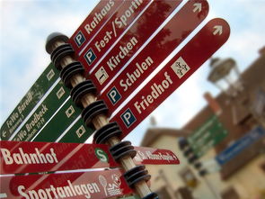 米兰体育APP-高校运动队选拔机制公平性研究，高校运动队选拔机制公平性研究报告