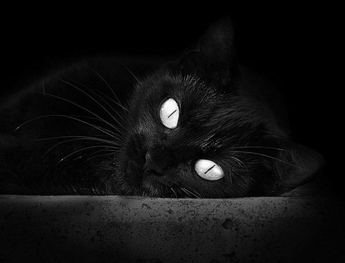 -中国女篮保持阵容稳定性增强默契,中国女篮保持阵容稳定性增强默契的原因 第1张 -中国女篮保持阵容稳定性增强默契,中国女篮保持阵容稳定性增强默契的原因 第1张