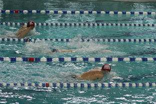 米兰体育APP-中国游泳运动员世锦赛接力项目表现抢眼，中国游泳接力夺金