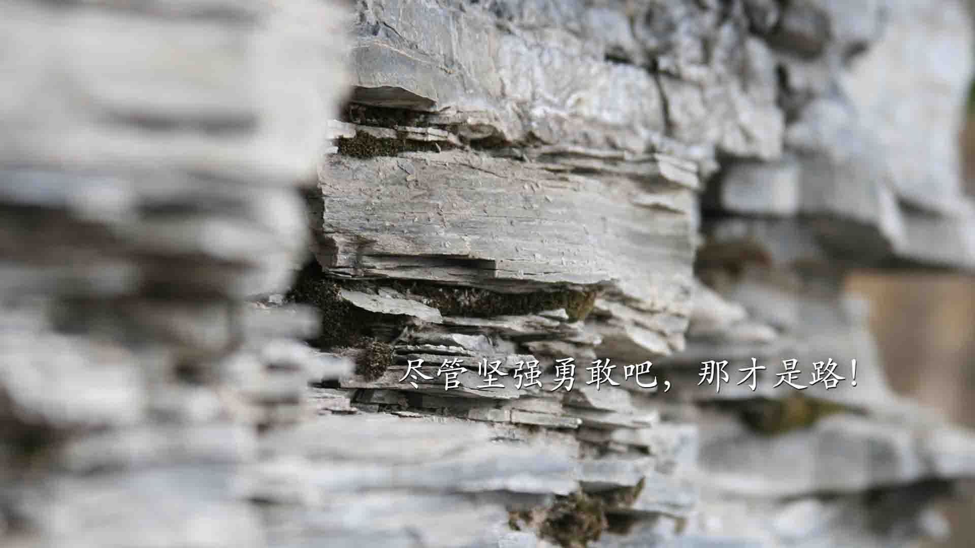 米兰体育APP-中国青年队迎战亚冠联赛 球迷期待高涨,为啥亚冠我国都派青年队 第3张 米兰体育APP-中国青年队迎战亚冠联赛 球迷期待高涨,为啥亚冠我国都派青年队 第3张