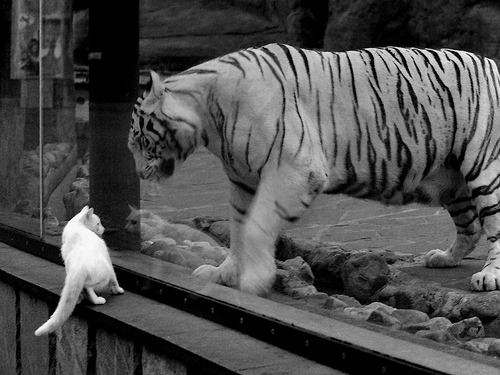 米兰登录入口-亚冠联赛中国女足晋级 热血瞬间感动人心，中国女足惊动亚足联