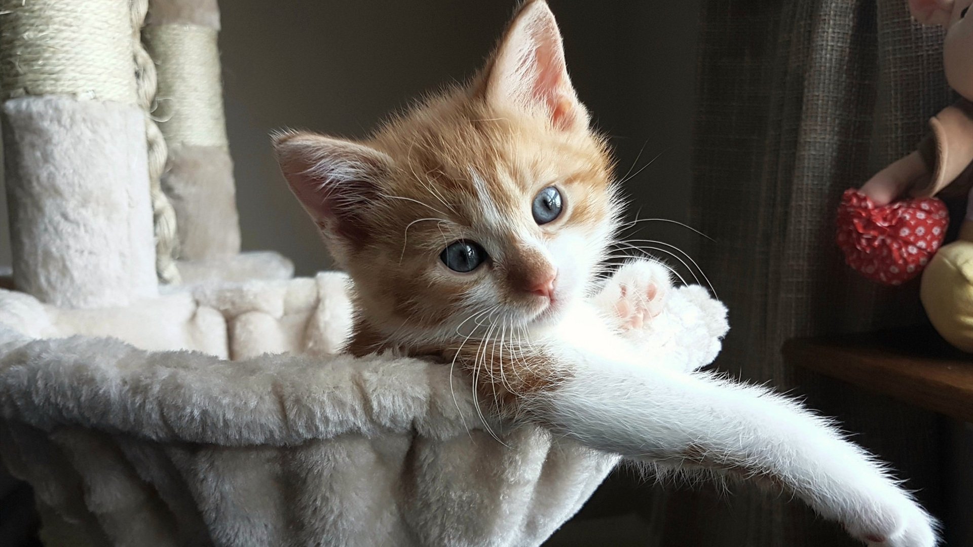 米兰登录入口-场均助攻王如何改变比赛节奏，nba场均助攻王