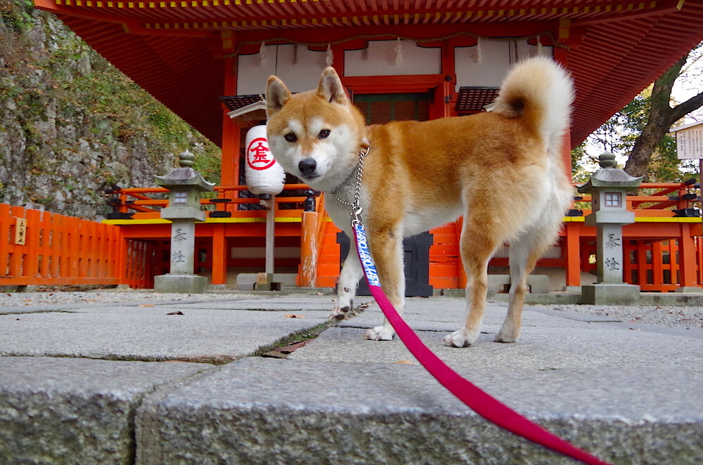 米兰体育APP-城市马拉松成为区域联动品牌赛事，城市马拉松一般多长时间