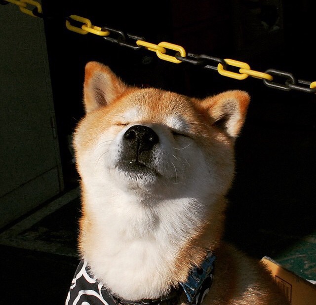 米兰体育APP-城市马拉松成为区域联动品牌赛事，城市马拉松一般多长时间