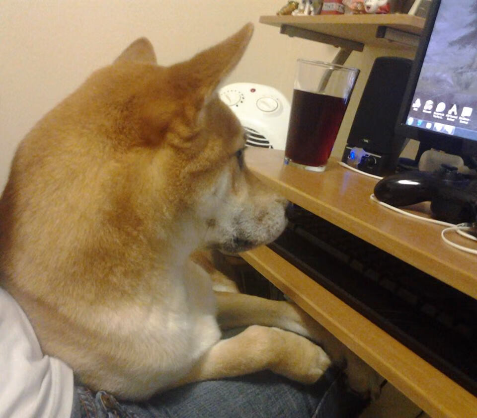 米兰登录入口-成绩构成分布图：中美表现渐趋接近，成绩的构成