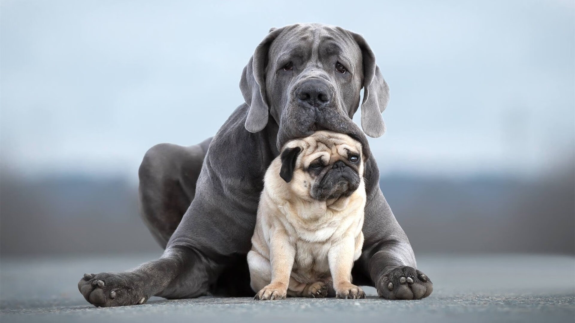 MILANSPORT入口-滑雪青少年联赛推动青训体系完善，滑雪比赛青年组年龄段