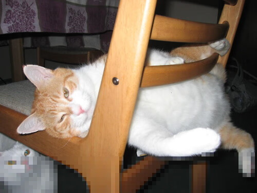 MILANSPORT入口-世界杯经典瞬间:永远值得回味的精彩片段,世界杯精彩过人