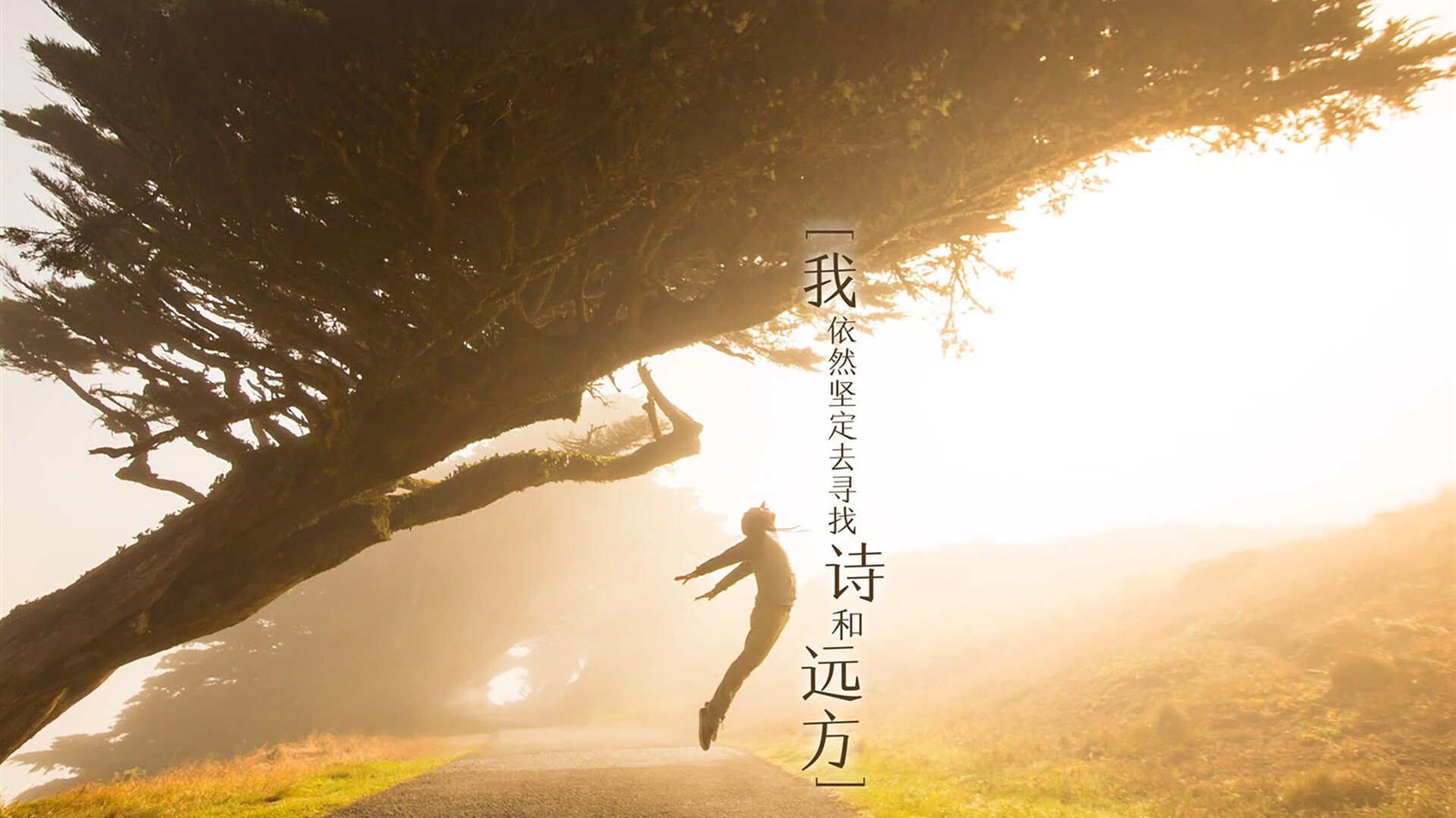 米兰体育APP-乌克兰男篮在欧洲预赛中奋勇争先，迈向奥运会，乌克兰欧洲杯