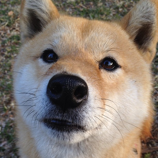 米兰体育-体育心理辅导助力运动员表现,体育心理辅导助力运动员表现怎么写