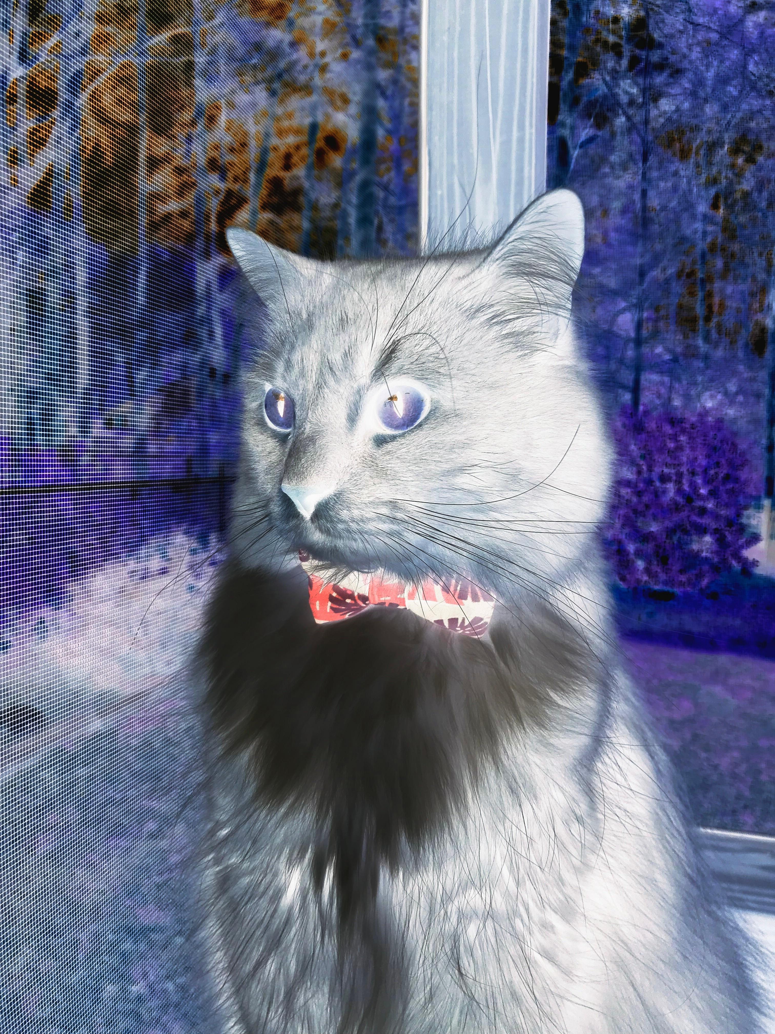 MILANSPORT下载-冬训营提升全国青少年竞技水平,青少年冬令营,火热招生中!