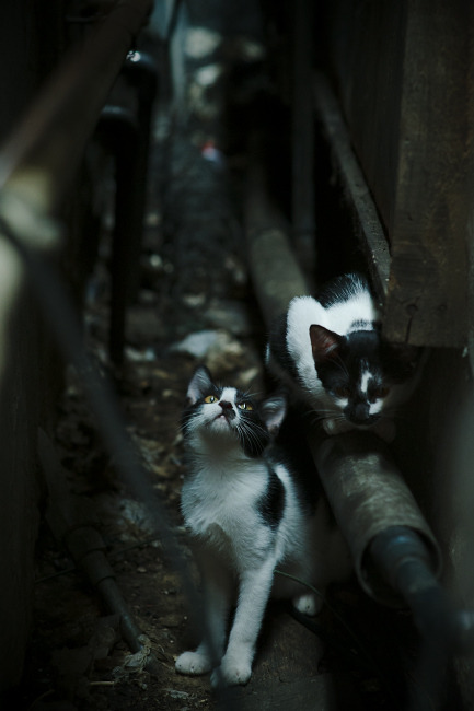 -朱婷赛后分享更衣室轻松氛围,朱婷换谁