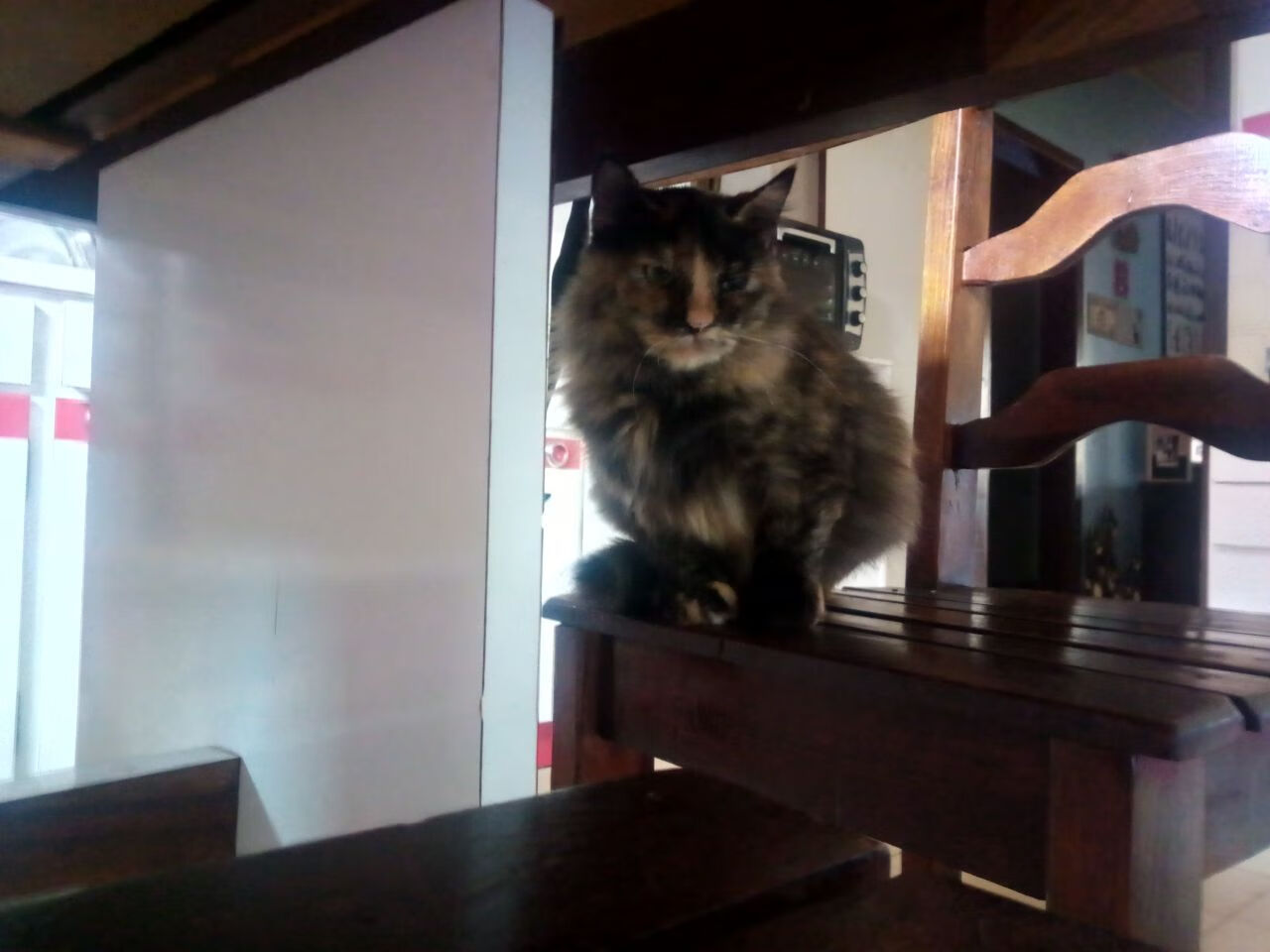 米兰体育官网-法国新星崭露头角，球队实现年轻化