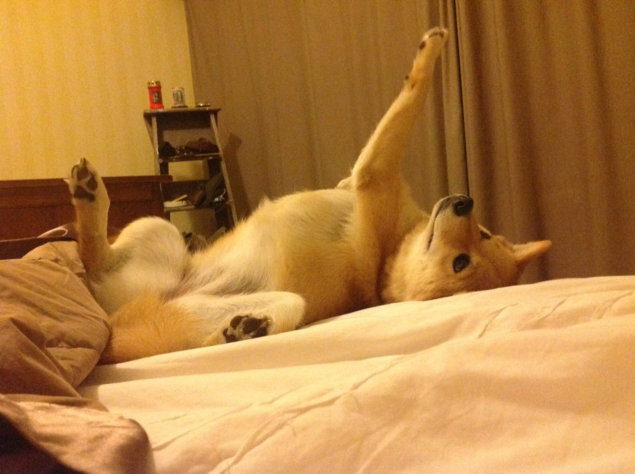 米兰登录入口-法甲炽热战鼓：点燃全场的激情火焰，炽热战争