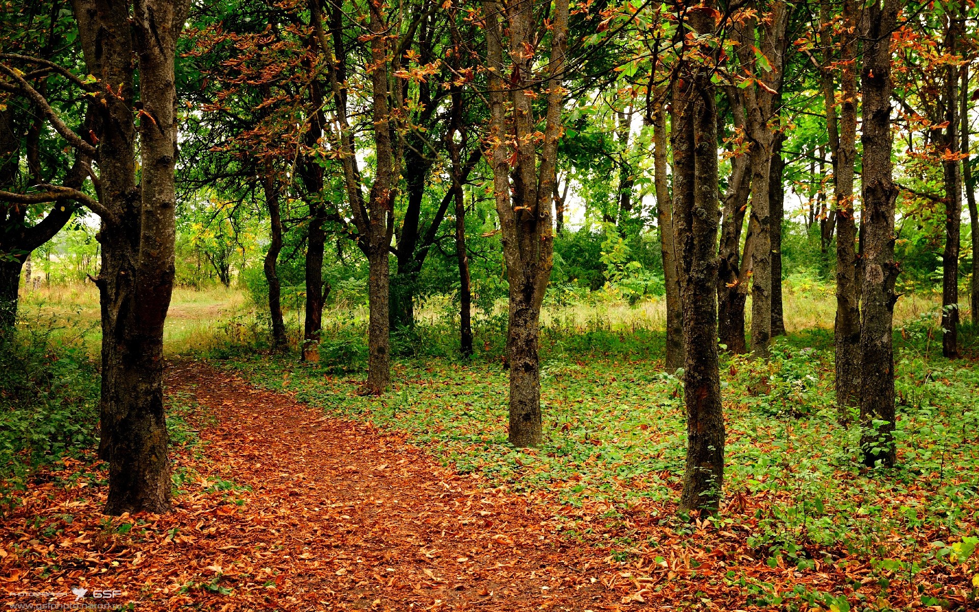 AC米兰-男子经验雄厚 女子潜力无限，男人精力有限女人潜力无限